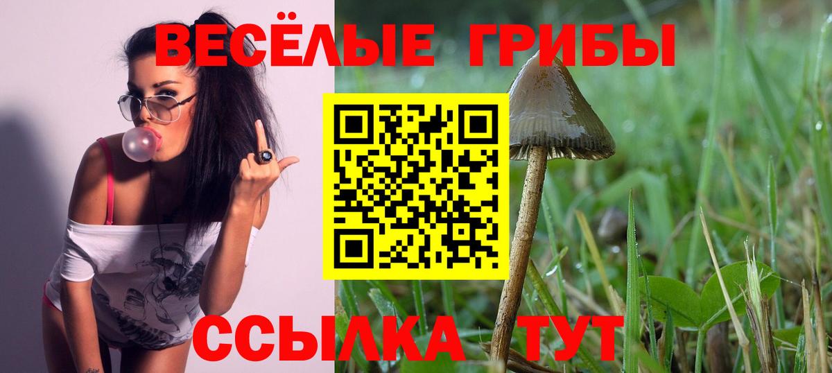 Галлюциногенные грибы Magic Shrooms Верхняя Салда