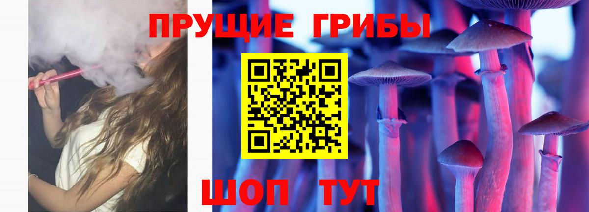 Галлюциногенные грибы Psilocybe  Вход с VPN  Верхняя Салда 